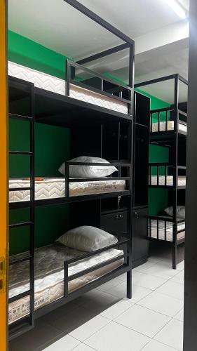 Bunk Bed in Mixed Dormitory Room image 1