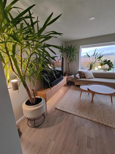 Family friendly townhouse Bunkeflo in 분케플로스트란드