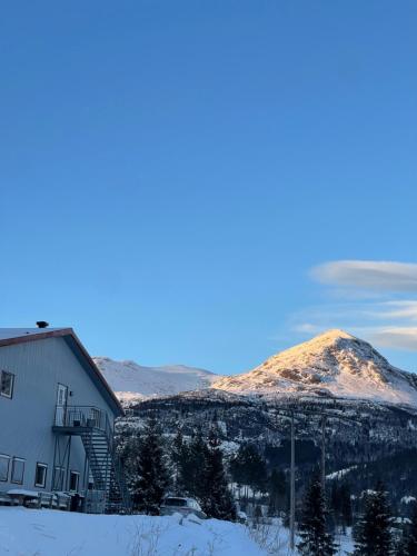 Eksterijer hotela, Trailside Studio N4 in Hemsedal