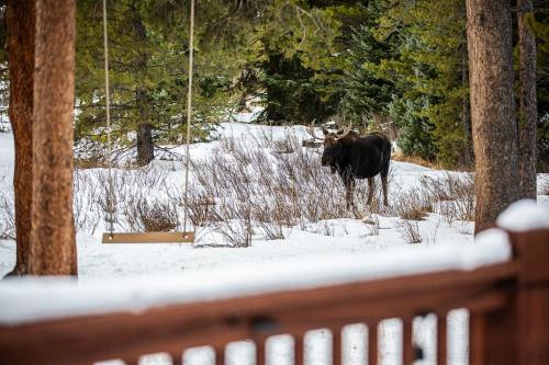 Breckenridge Modern A Frame with Spa, Sauna, Views, Breckenridge (foto 7)