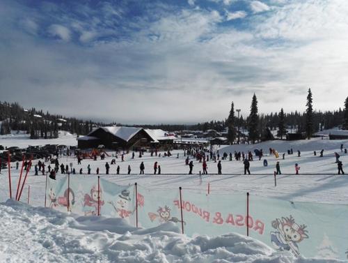 Vuosselin Helmi Apartments - image 5