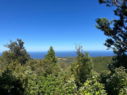 Skats, Cabaña VIDA en Oncol (Cabana VIDA en Oncol) in Curinanco