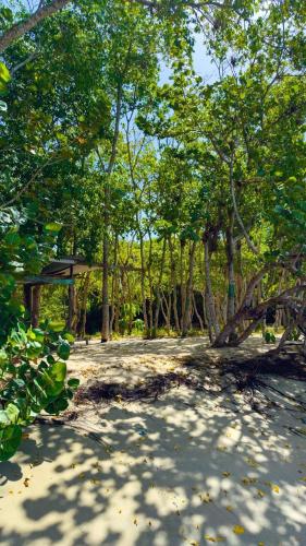 Beach, Serenity at Buccoo, Ensuite Room in Bethel
