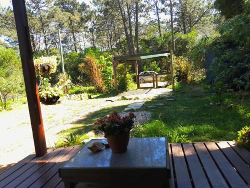 Connection to Nature in La Paloma