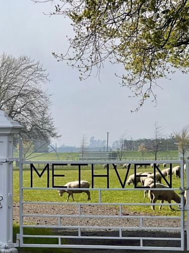 Methven Mountain View Apartment