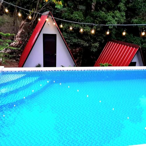 Glamping at Le' Antonia's Farm, Alfonso (foto 3)