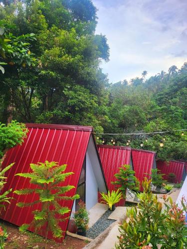 Glamping at Le' Antonia's Farm, Alfonso (foto 10)