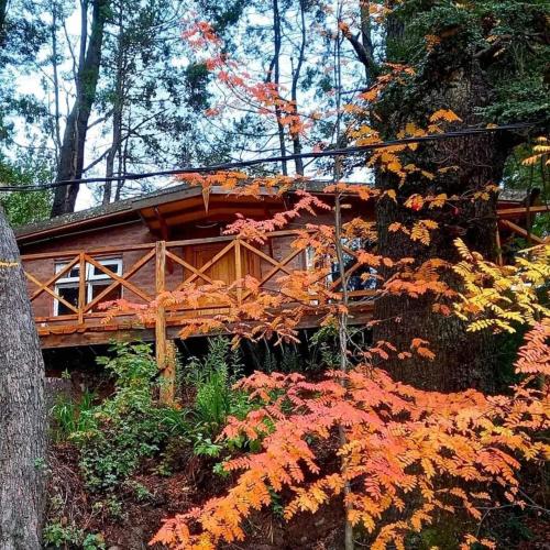 Lago Azul Bariloche