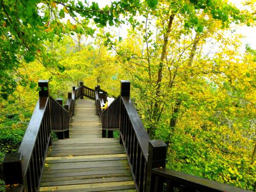 明山森林會舘 - The M Village | 去趣 chicTrip