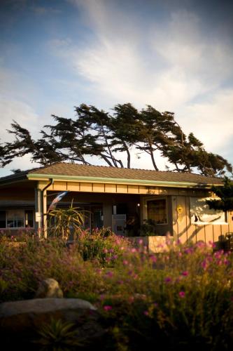 Cambria Shores Inn - 출입구