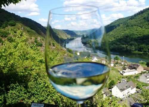 Weinhotel Hubertus Garni - image 4