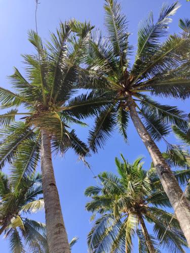 Beach, Castle Rock Apartelle near Punta Bunga Beach