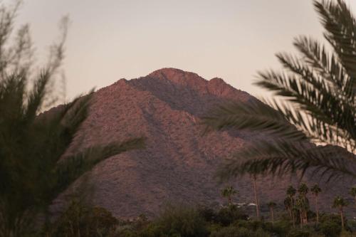 643763614 Andaz Scottsdale Resort & Bungalows