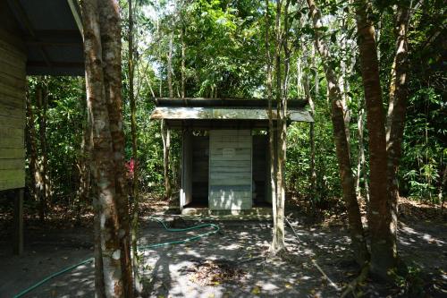 Vista exterior, Orangutan & Restoration Camp in Sungai Sekonyer