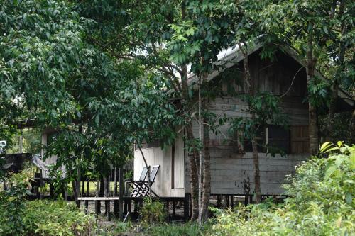 Orangutan & Restoration Camp in Sungai Sekonyer
