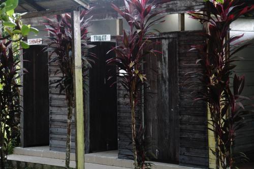 Vista exterior, Orangutan & Restoration Camp in Sungai Sekonyer
