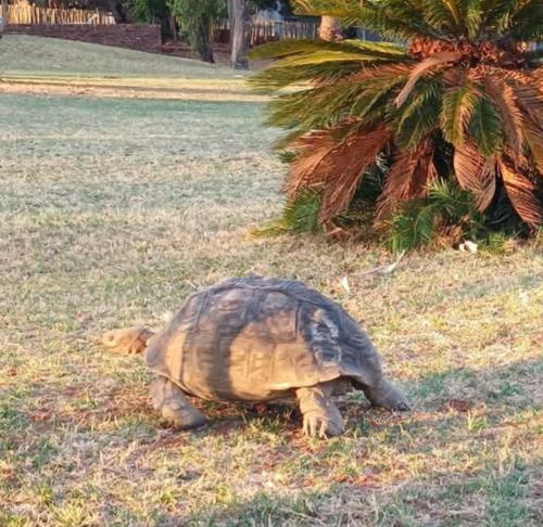 Ebenhaeser overnight accomodation Ebenhaeser overnight accomodation