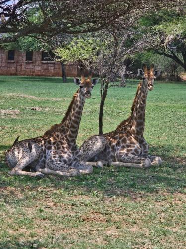 Ebenhaeser overnight accomodation Ebenhaeser overnight accomodation