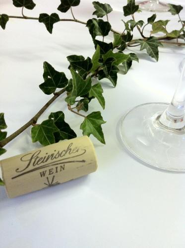 Panoramahotel Steirerland - main image