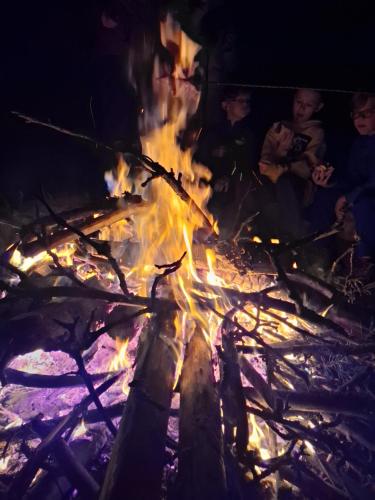 Wood Land Liswarta domki w drzewach