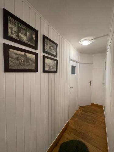 Gîte la Petite Semois à Mouzaive - image 6