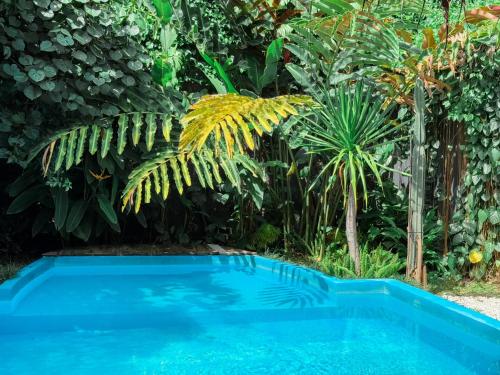 Swimming pool, Ranasa Yogyakarta in Bantul