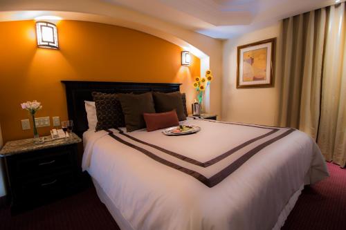 64381059 Hotel Ticuán