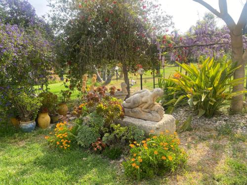 Agrib&B Lemontree Garde'N - image 5