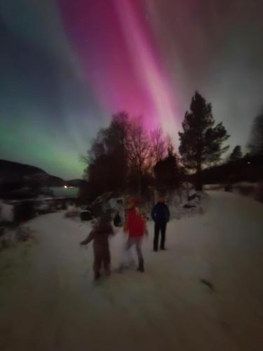 Øen Hytter 1 Øen Hytter 1