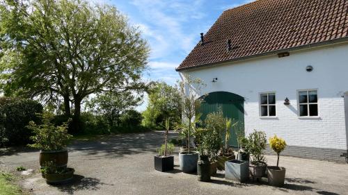 De Zilte Zeehoeve - image 3