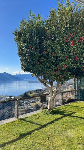 Casa Reto - Das Ferienhaus im Tessin – khách sạn tại Gordola
