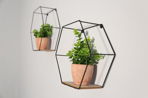 บริการและสิ่งอำนวยความสะดวก, Guesthouse Doanesia in เมเซซ-ฟูเช