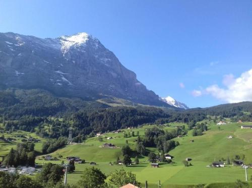 Luna 2 Bett Wohnung Obj 2000 in Grindelwald