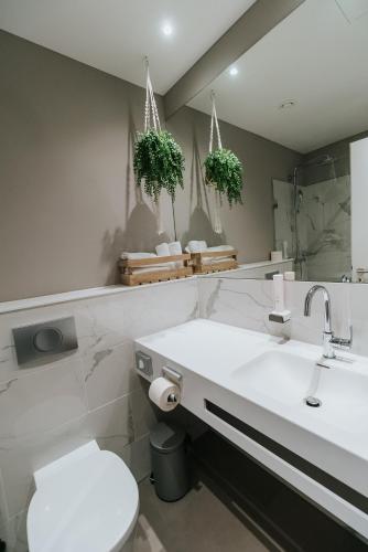 Single Room image 3