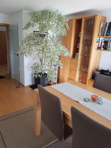 Schöne Wohnung frei in Alfdorf bei Stuttgart (Schone Wohnung frei in Alfdorf bei Stuttgart) in 阿爾夫多夫