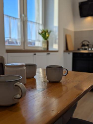 Apartament po Stronie gor - stoki narciarskie, kapielisko, trasy rowerowe - Stronie Slaskie