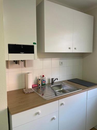 Appartement 1 - Einzimmerwohnung mit Küche und Bad, Salzgitter (fotografie 7)