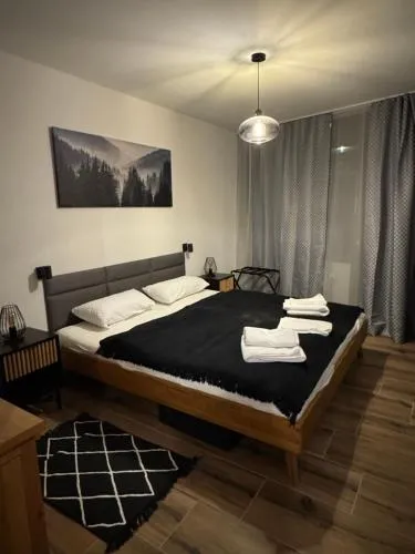 FeWo im Kurhotel in Schluchsee Apartment Black Forest mit Balkon Indoorpool Tiefgaragenstellplatz in Schluchsee, Deutschland