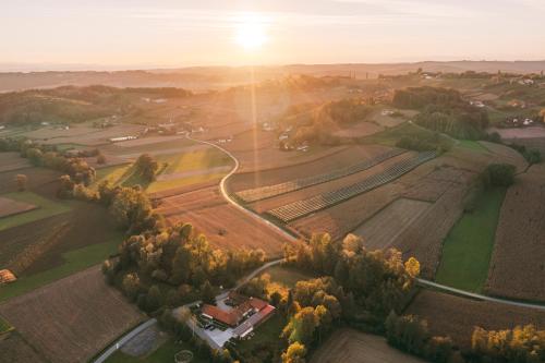 Book the Economy Double Room Economy Double Room