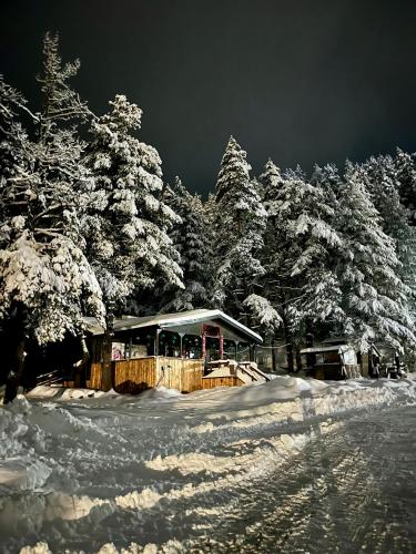 Viesnīcas āriene, Quattro Malyovitsa- Мальовица in Rilski Manastir