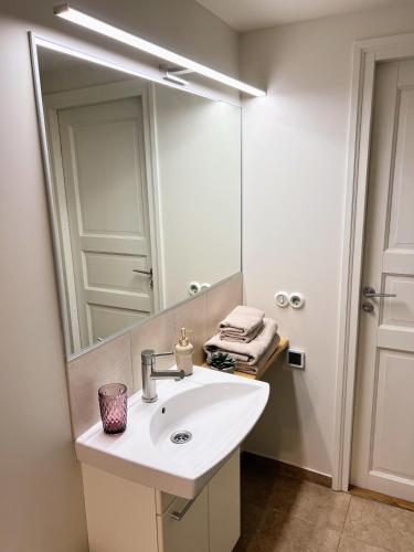 Classic One-Bedroom Apartment at Sauna 3 image 4