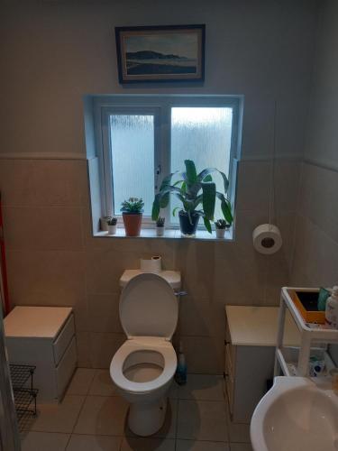 The wee airport cottage 4