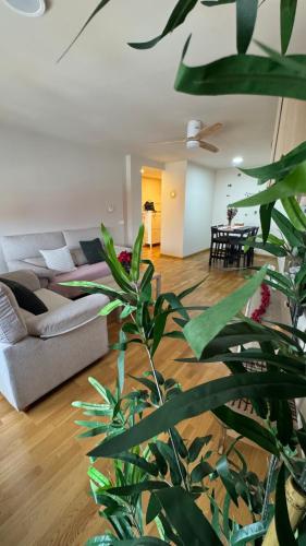 Apartamentos Suites Iscar
