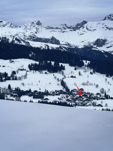Chalet à Megève-Vauvray - Grands Appartements , vue Mont Blanc