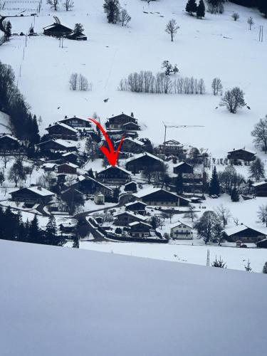 Chalet à Megève-Vauvray - Grands Appartements , vue Mont Blanc