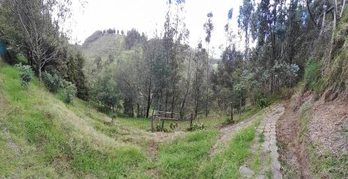 Los Olivos Hosteria JM Cayambe