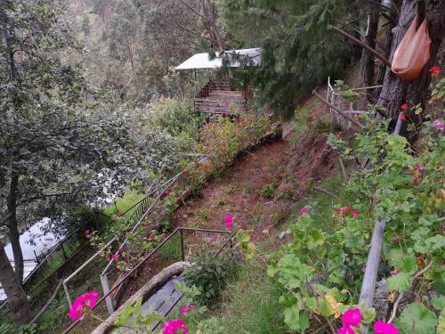 Los Olivos Hosteria JM Cayambe