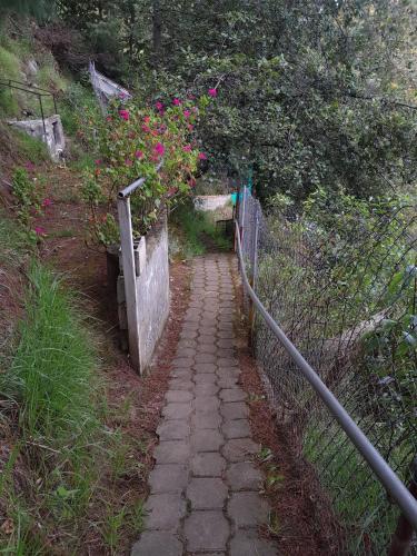 Los Olivos Hosteria JM Cayambe