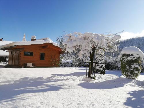 Chalet - Urlaub bei Freunden, Wagrain (photo 4)