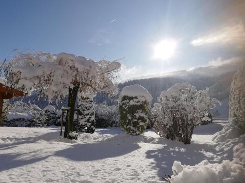 Chalet - Urlaub bei Freunden, Wagrain (photo 6)